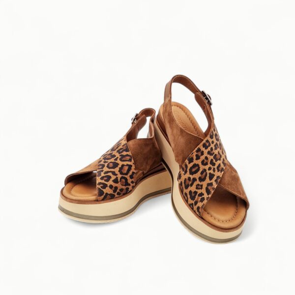 Gemelli 70109-04-24 Cojo Leopard - Image 4
