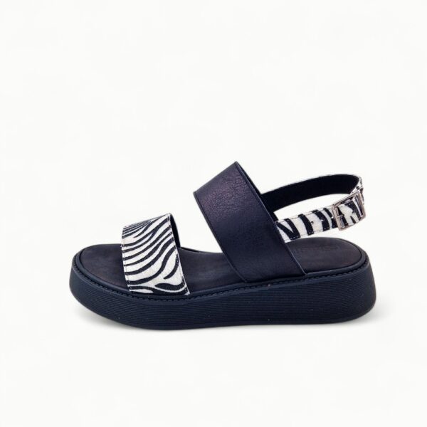 Gemelli 70117-14-10 Crna Zebra - Image 3