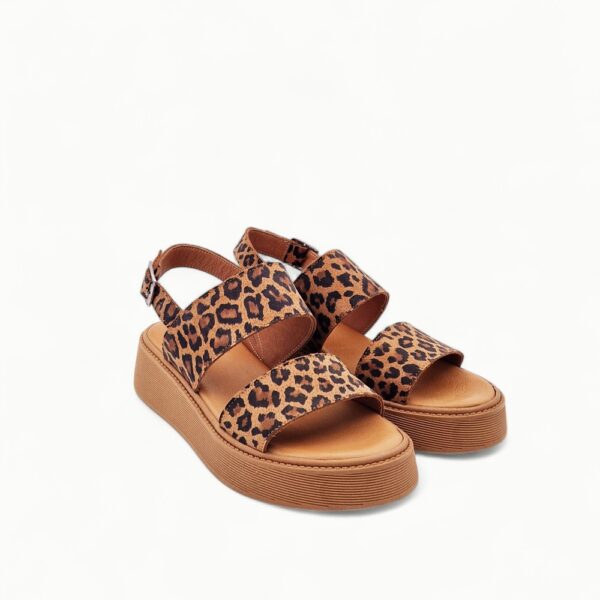 Gemelli 70117-14-24 Leopard