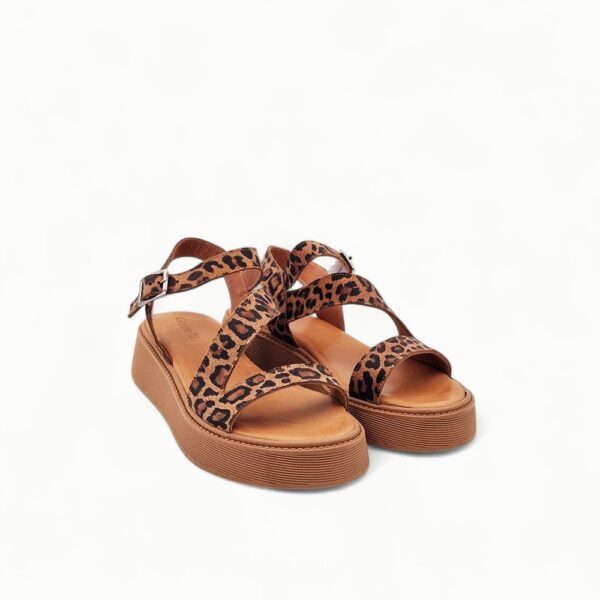 Gemelli 70117-5-24 Leopard