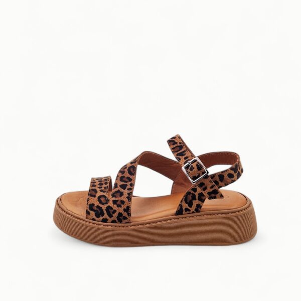 Gemelli 70117-5-24 Leopard - Image 3