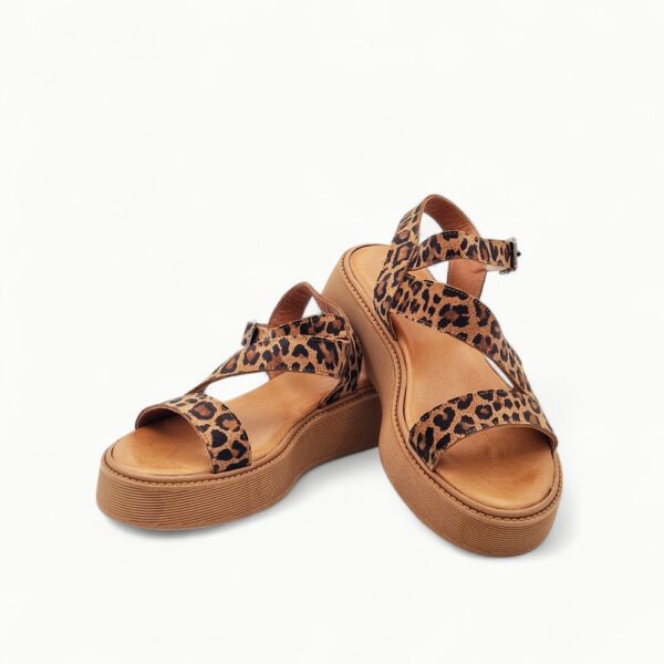 Gemelli 70117-5-24 Leopard - Image 4