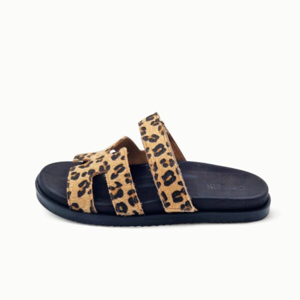 Gemelli 701241-24 Leopard - Image 3