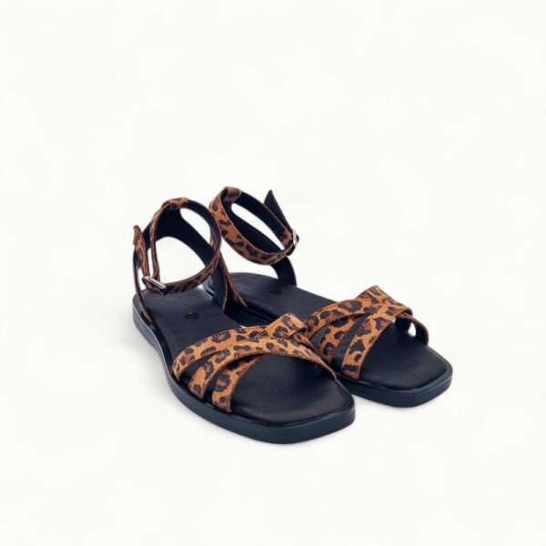 Gemelli 70126-8-24 Leopard